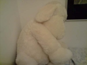 Baah is verlegen